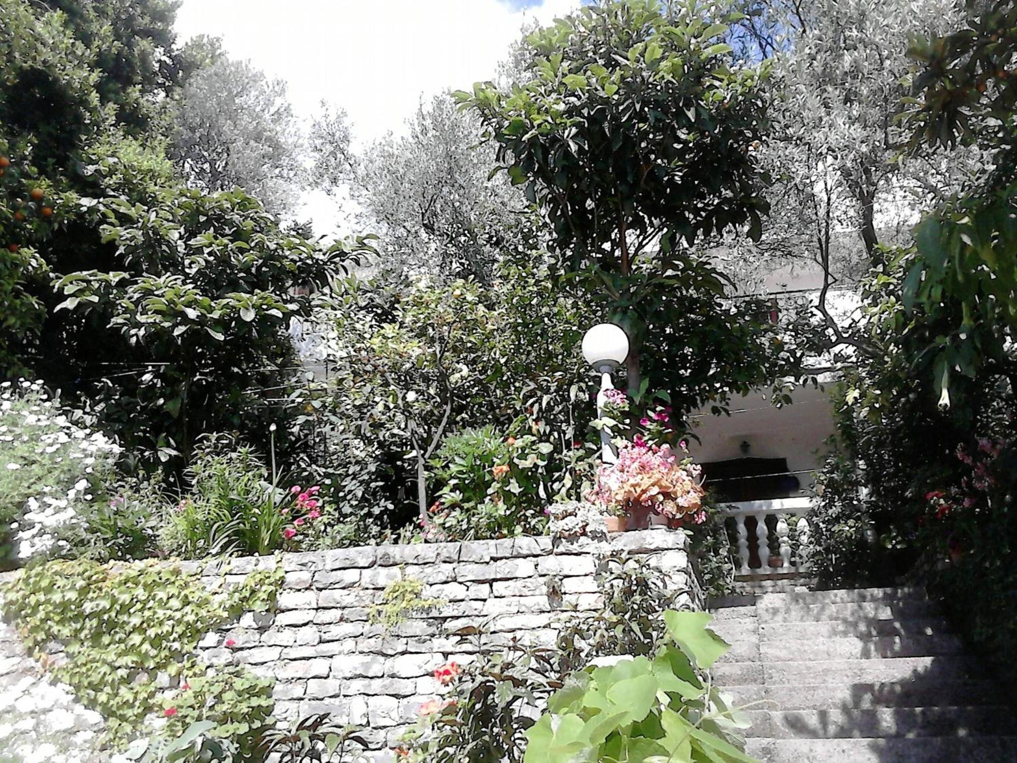 Oaza Guest House Ilha Sveti Stefan Exterior foto